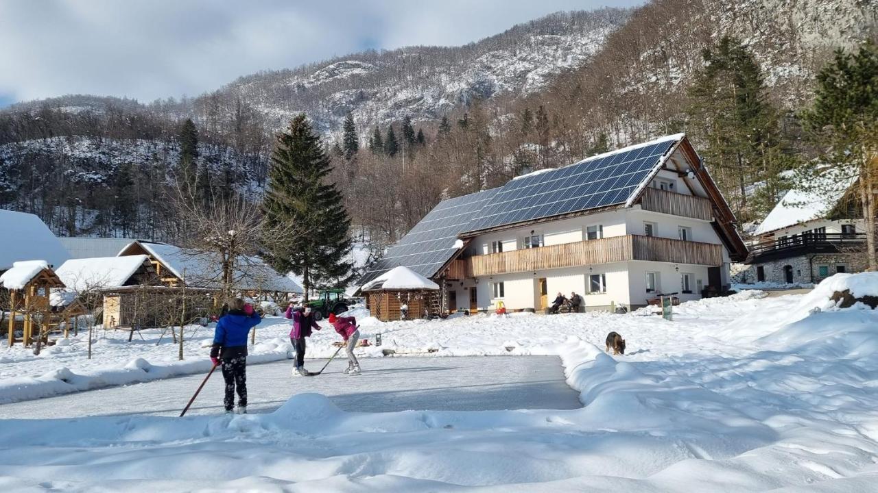 Domacija Loncnar- Apartment Bohinj Εξωτερικό φωτογραφία