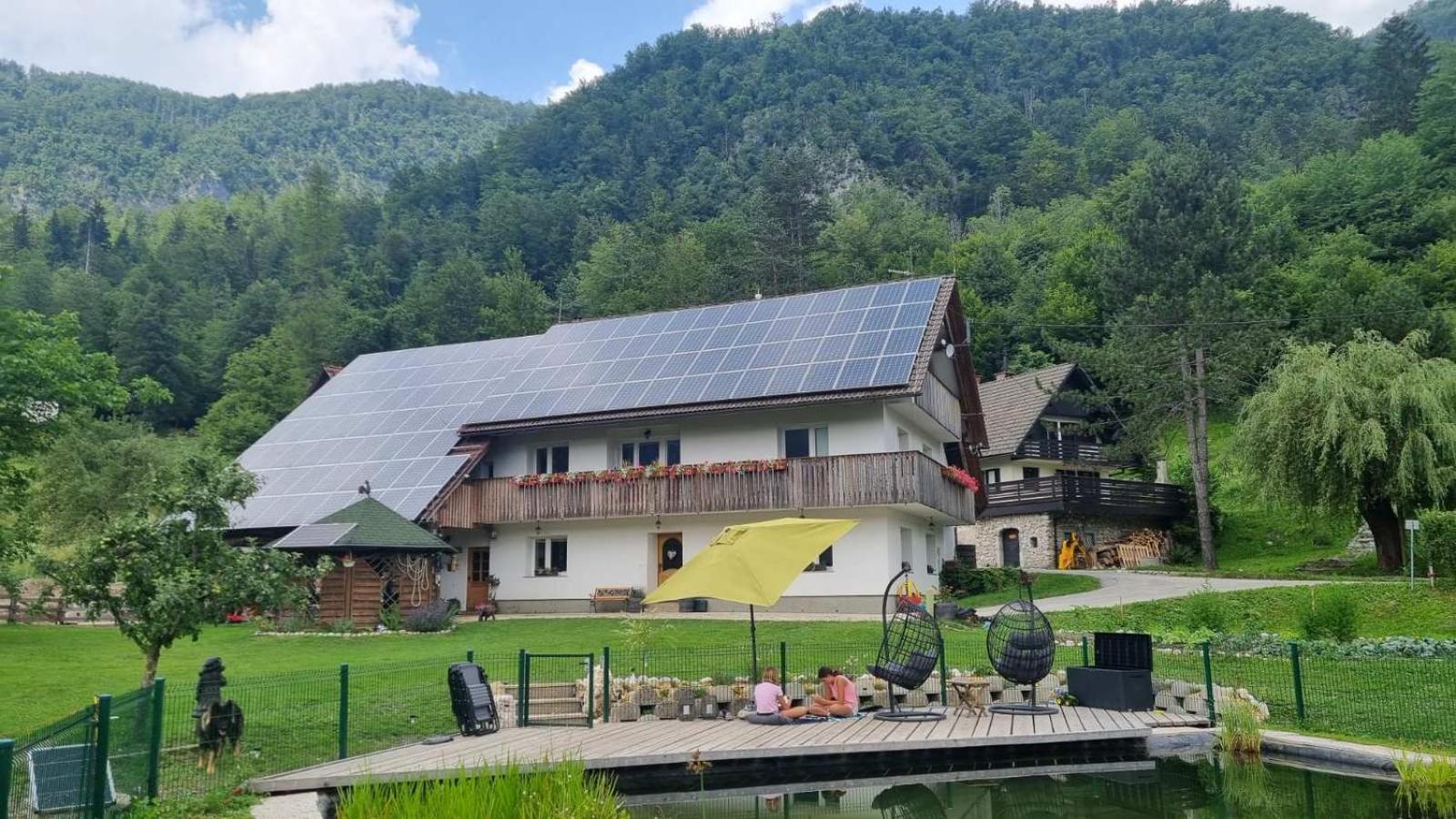 Domacija Loncnar- Apartment Bohinj Εξωτερικό φωτογραφία
