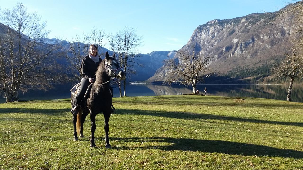 Domacija Loncnar- Apartment Bohinj Εξωτερικό φωτογραφία