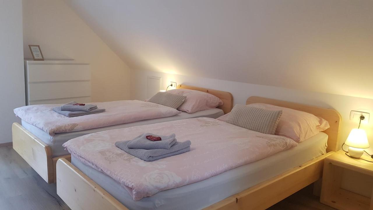 Domacija Loncnar- Apartment Bohinj Εξωτερικό φωτογραφία